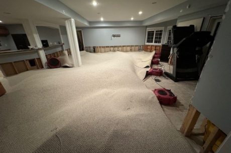 Our IICRC-certified technicians use state-of-the-art equipment and technology for mold remediation and property restoration.