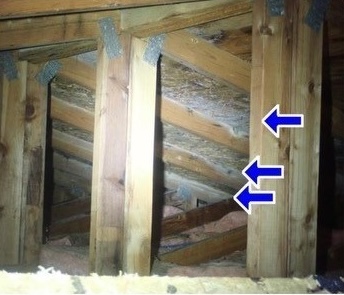 Mold has begun to grow in the attic, affecting supporting beams. A plumbing vent's seal has begun to pull away from the structure due to mold growth.