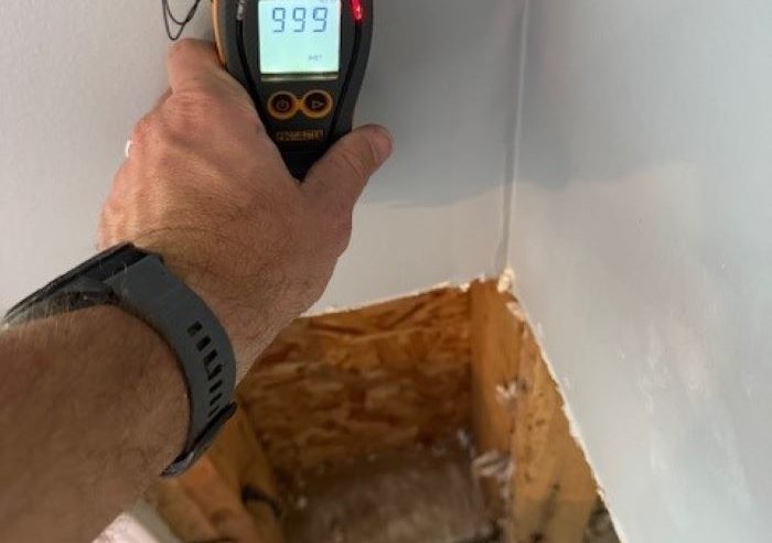 A moisture meter detects hidden moisture in the walls, often indicating mold growth. Moisture remediation