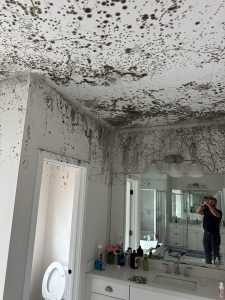 Mold removal Ann Arbor