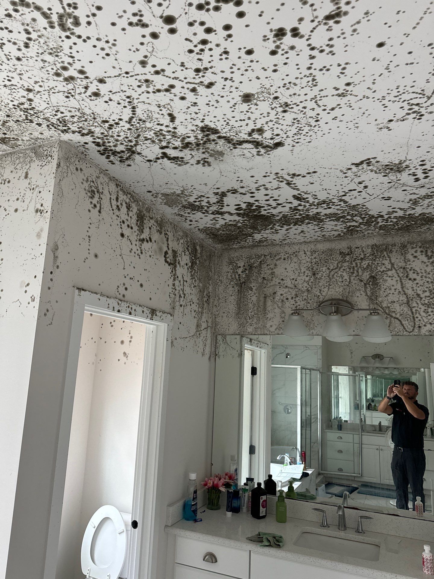 Home Mold Removal Ann Arbor: Why It Shouldn’t Wait