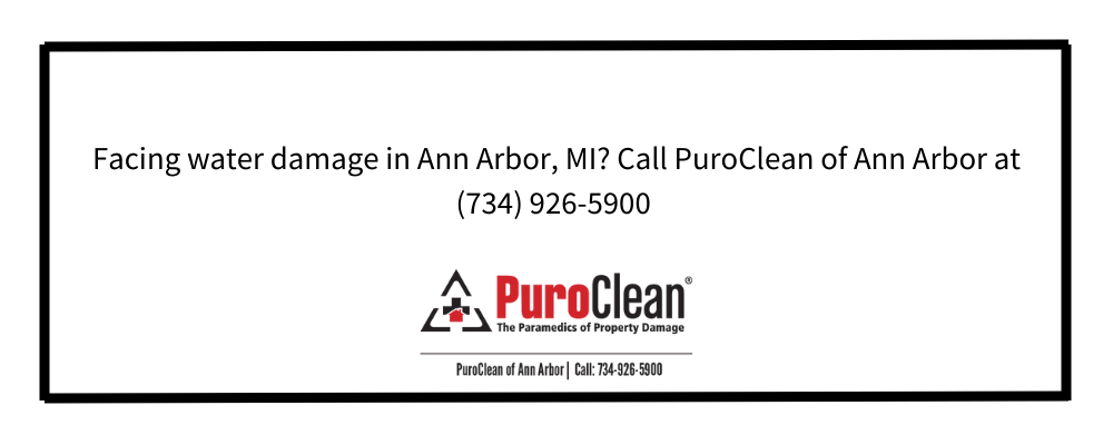 Water Damage Restoration in Plymouth, MI: What Homeowners Need to Know