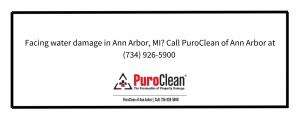 Water Damage Restoration in Brighton