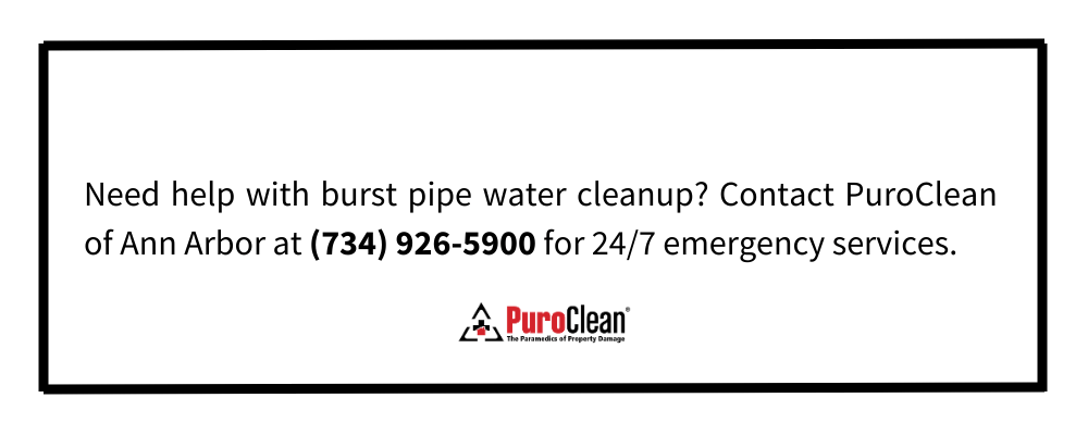 Frozen and Burst Pipe