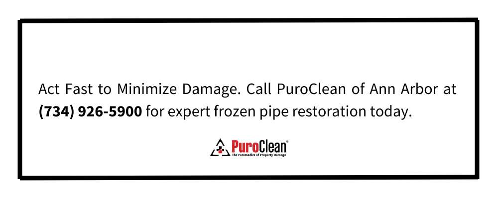 Frozen and Burst Pipe