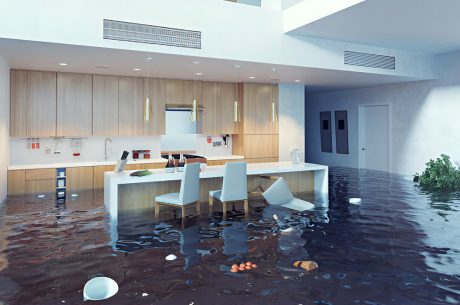 Flood Cleanup Company