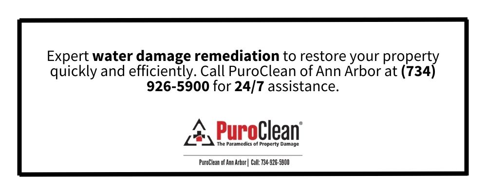 Basement Water Damage Cleanup in Ann Arbor