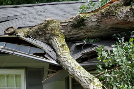 Storm damage in Ann Arbor