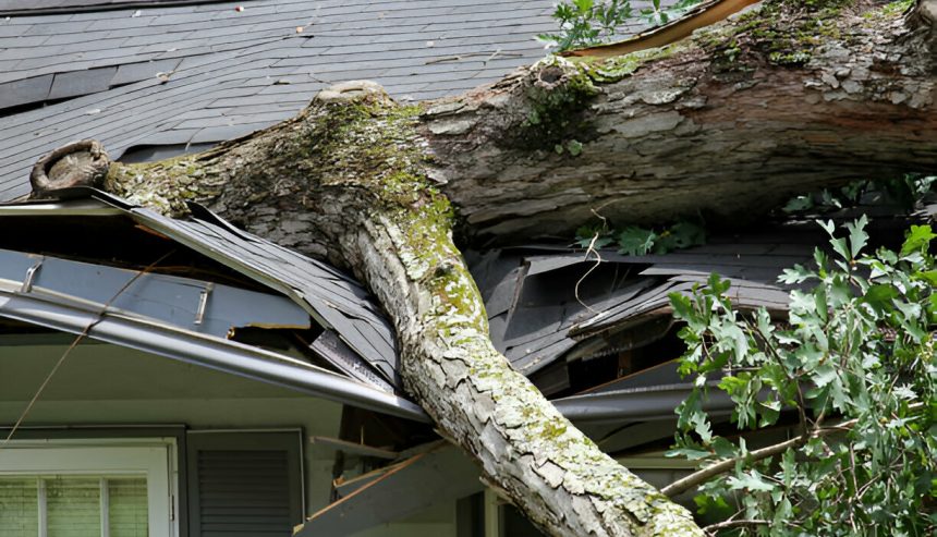 Storm damage in Ann Arbor