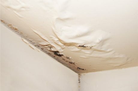 Roof Water Damage