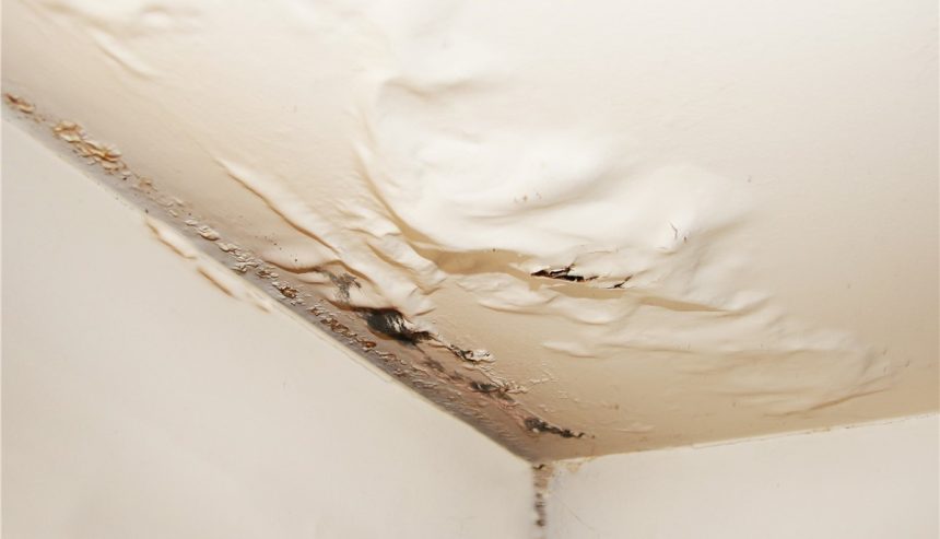 Roof Water Damage