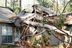 Ann Arbor Storm Cleanup