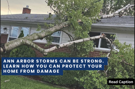Storm damage in Ann Arbor