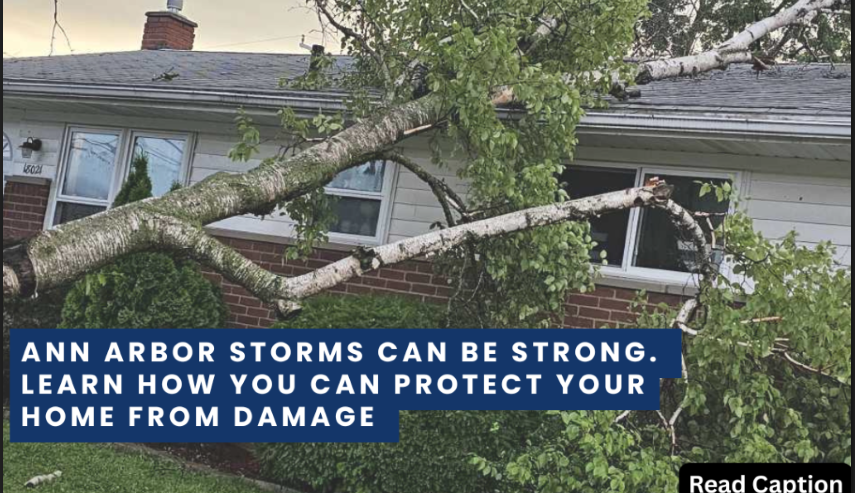 Storm damage in Ann Arbor