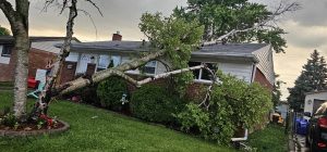 flood cleanup in ann arbor