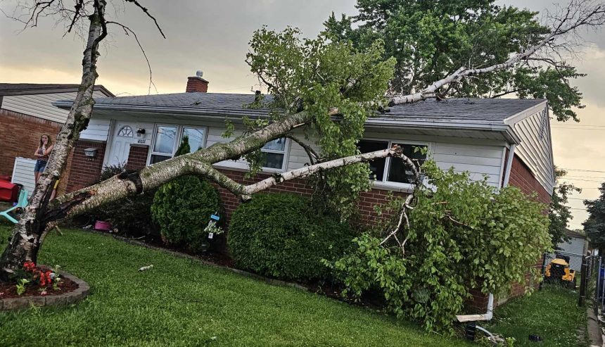 flood cleanup in ann arbor