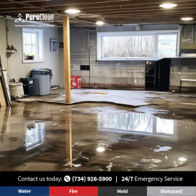 Sump Pump Damage in Ann Arbor