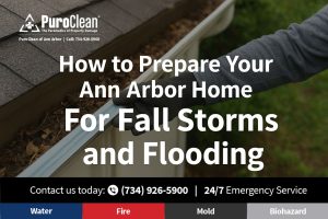 Basement Flood Cleanup services