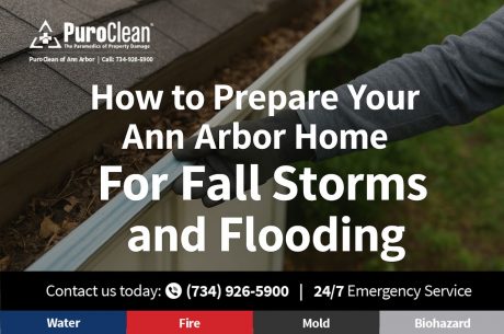 Basement Flood Cleanup services