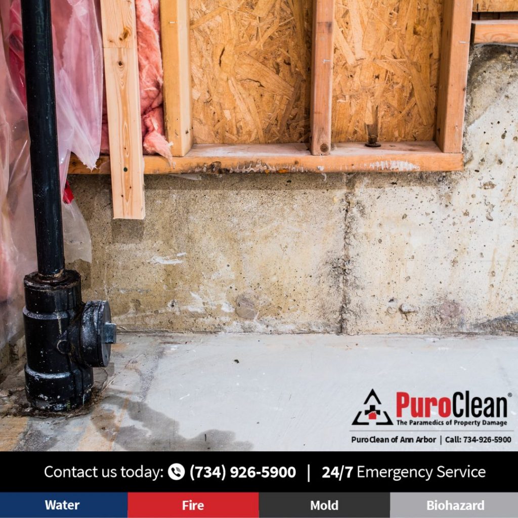 Basement Flooding in Plymouth