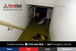 basement water cleanup near me