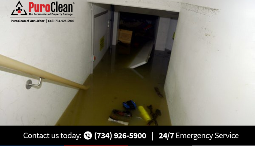 basement water cleanup near me