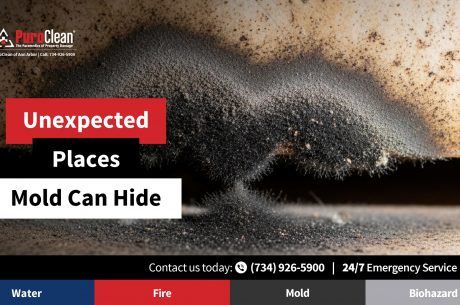 Discover unexpected places mold can hide in your home. Learn how PuroClean of Ann Arbor provides expert mold remediation experts and removal services. Call (734) 926-5900 today.
