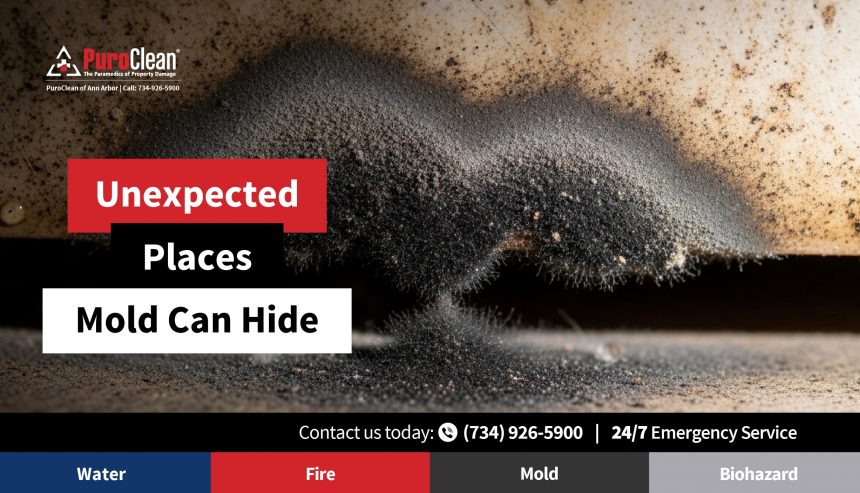 Discover unexpected places mold can hide in your home. Learn how PuroClean of Ann Arbor provides expert mold remediation experts and removal services. Call (734) 926-5900 today.