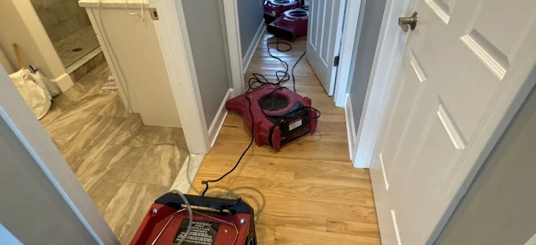 Best Flood Damage Restoration in Ann Arbor