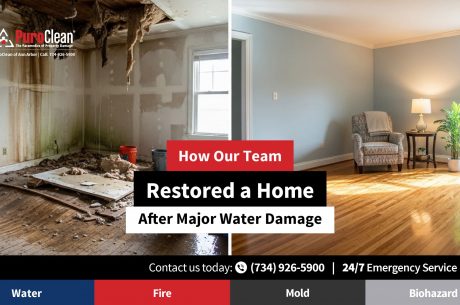 flood damage cleanup near me