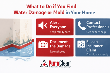 Water Damage or Mold