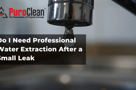 Do I Need Professional Water Extraction After a Small Leak