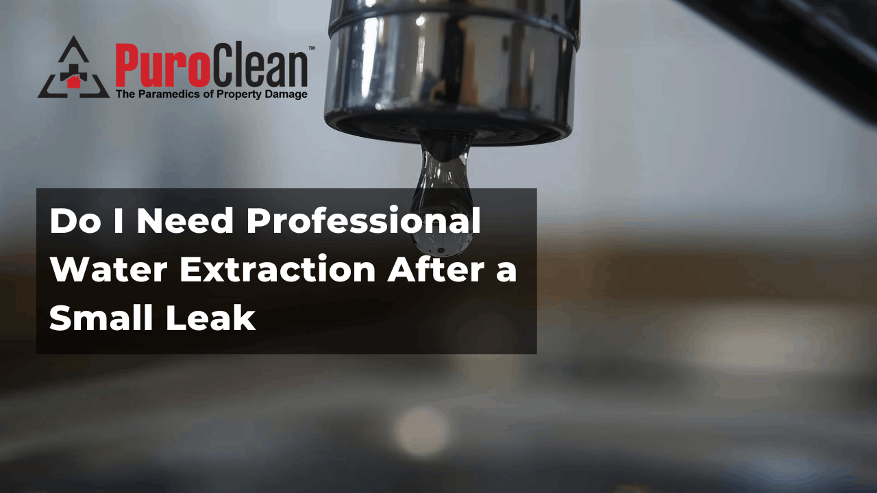 Do I Need Professional Water Extraction After a Small Leak?