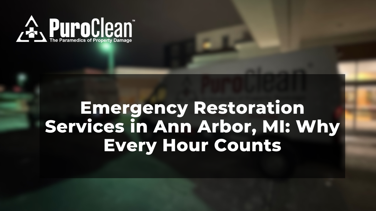 Emergency Restoration Services in Ann Arbor, MI: Why Every Hour Counts
