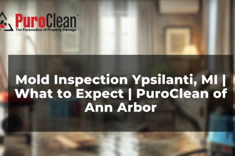 Mold Inspection Ypsilanti, MI | What to Expect | PuroClean of Ann Arbor