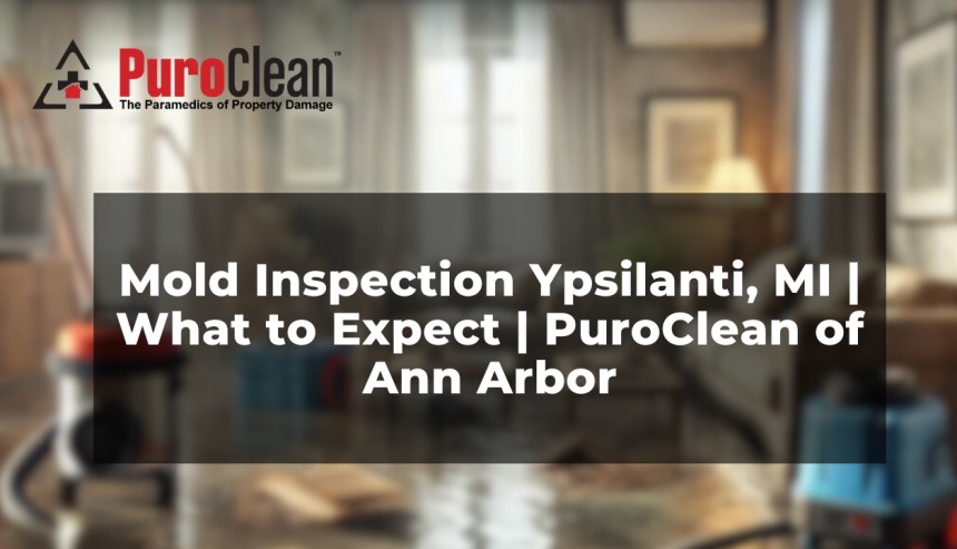Mold Inspection Ypsilanti, MI | What to Expect | PuroClean of Ann Arbor