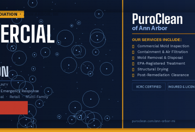 Commercial Mold Remediation Services in Ann Arbor MI