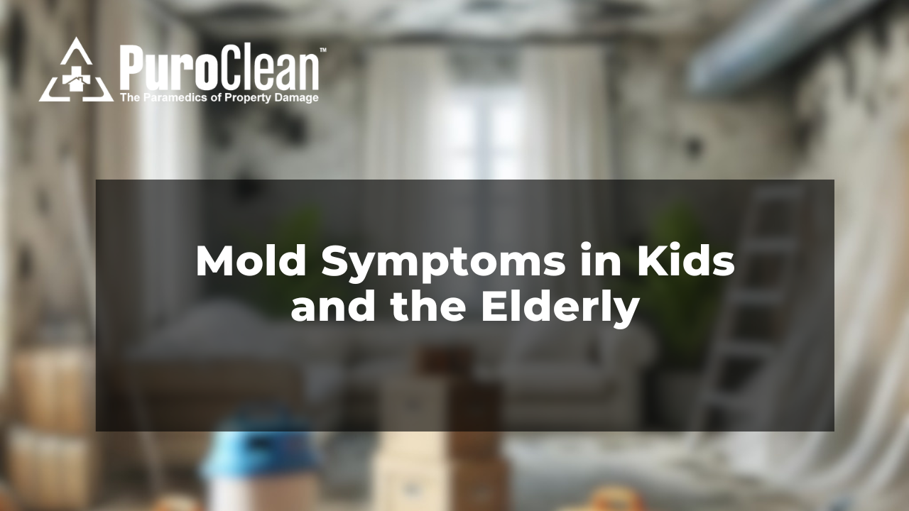 Mold Symptoms in Kids and the Elderly: When Indoor Air Quality Becomes a Health Emergency