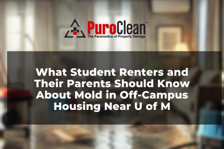 Mold in Off-Campus Housing Near U of M