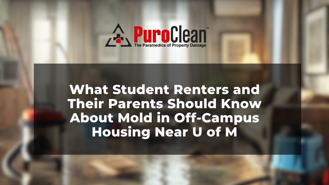 Mold in Off-Campus Housing Near U of M: What Student Renters and Their Parents Should Know