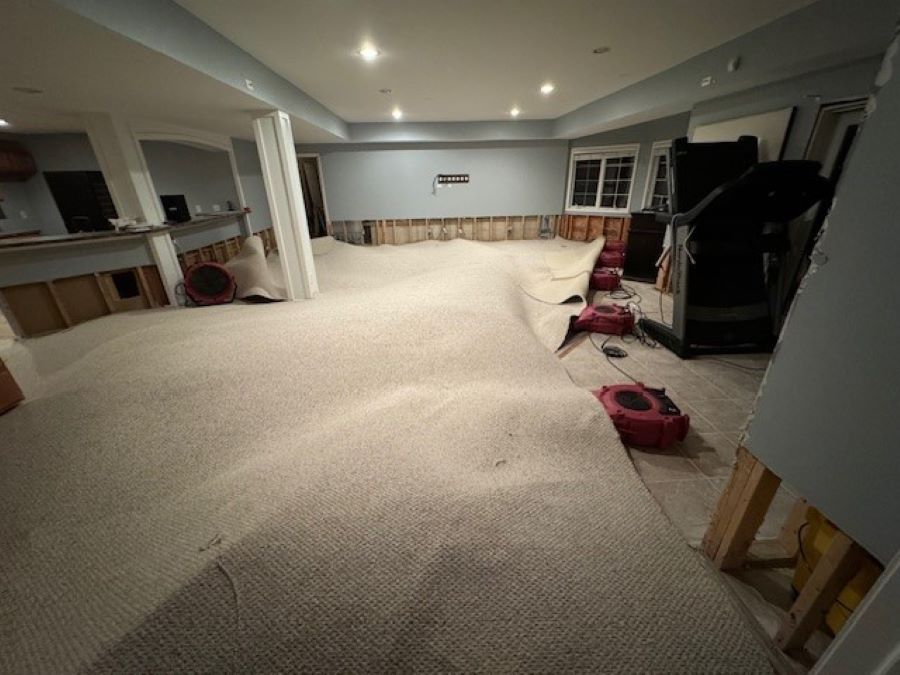 Our IICRC-certified technicians use state-of-the-art equipment and technology for mold remediation and property restoration.