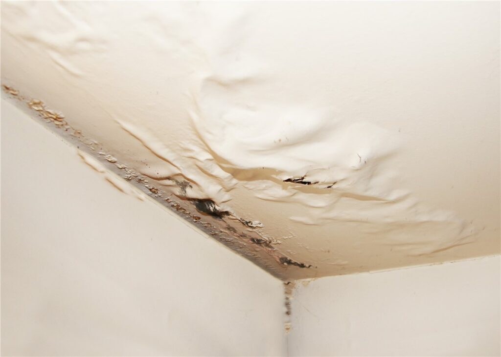 Roof Water Damage