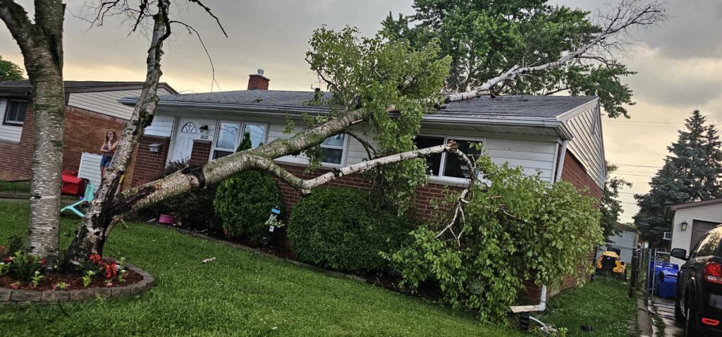 flood cleanup in ann arbor