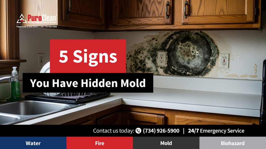 5 signs of Hidden Mold