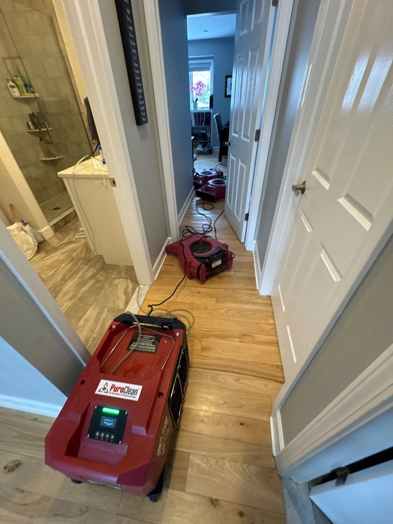 Best Flood Damage Restoration in Ann Arbor