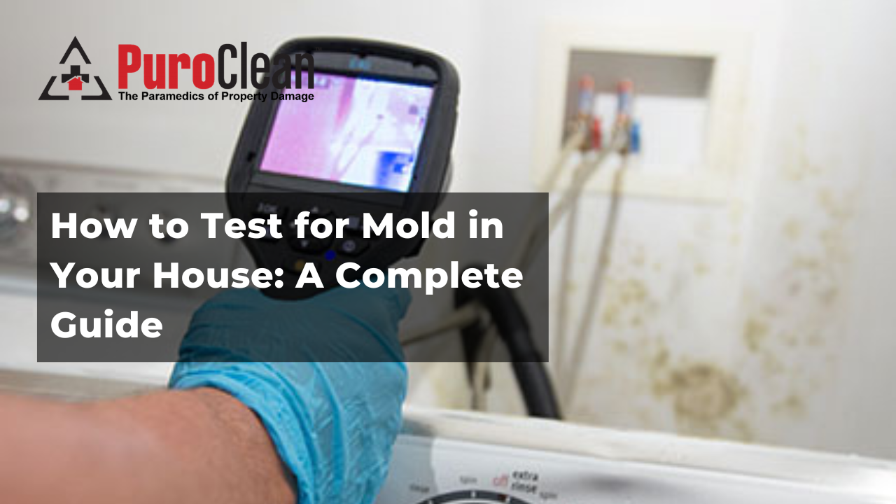 How to Test for Mold in Your House: A Complete Guide | PuroClean Ann Arbor