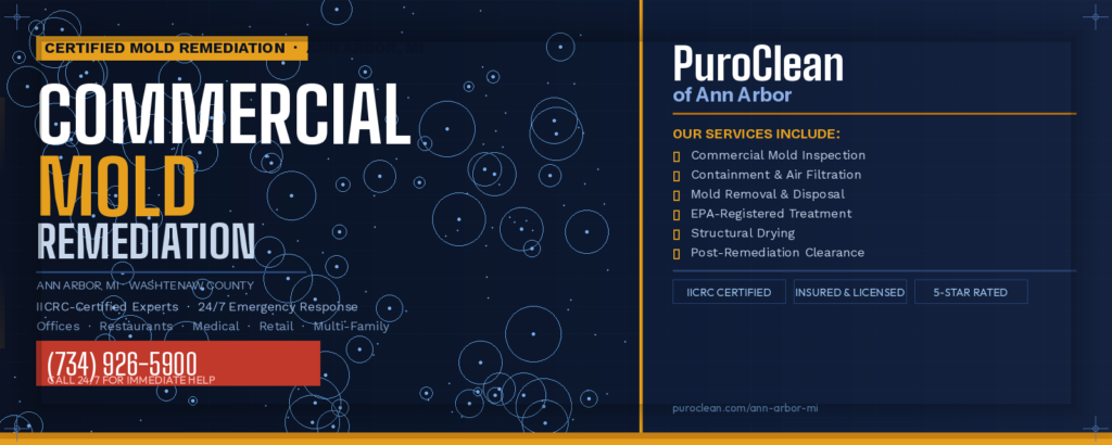 Commercial Mold Remediation Services in Ann Arbor MI