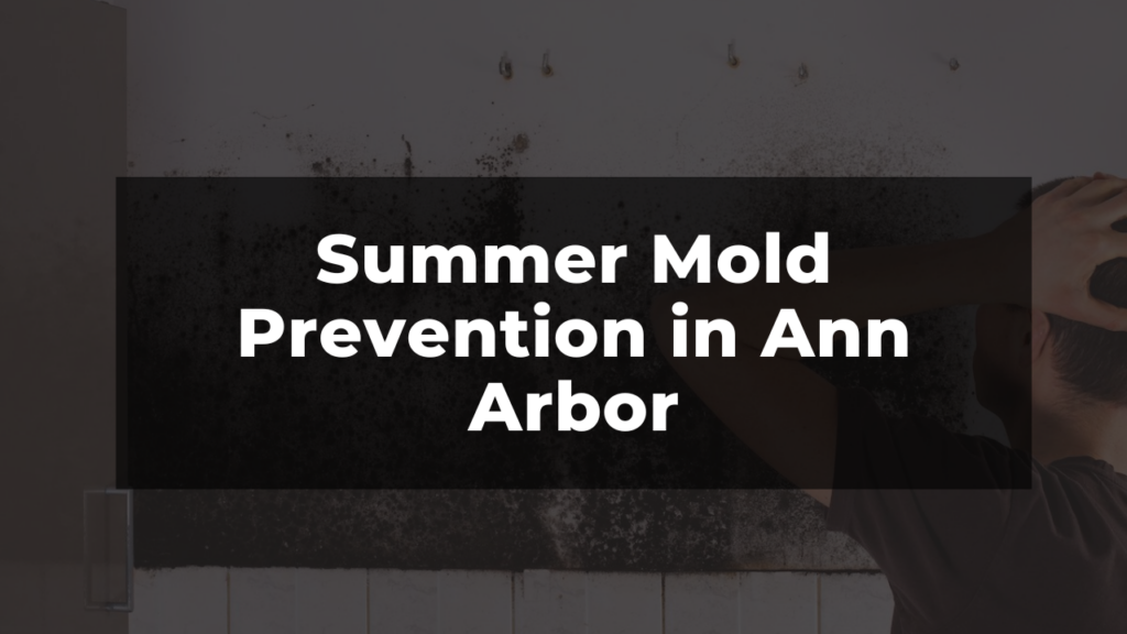 mold prevention in ann arbor