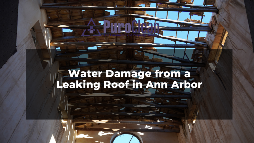 roof leak water damage