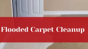 Flooded Carpet Cleanup